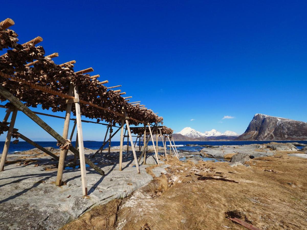 Lofoten Troll Point